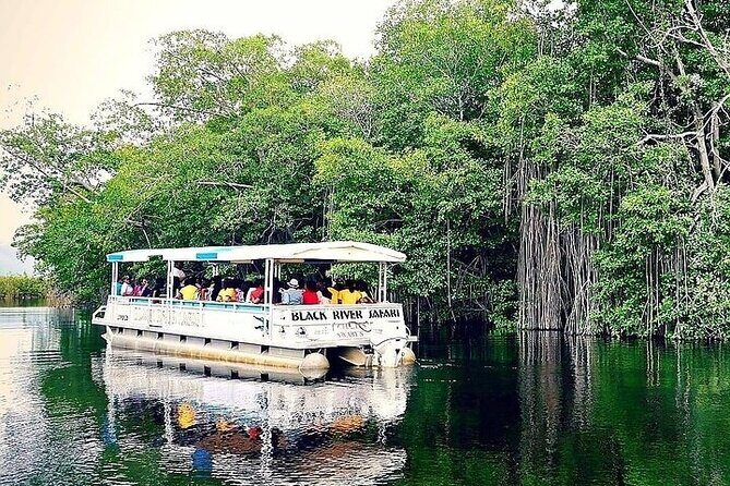 YS Falls and Black River Safari South Coast from Negril Jamaica - How to Get the Most Out of Black River and YS Falls