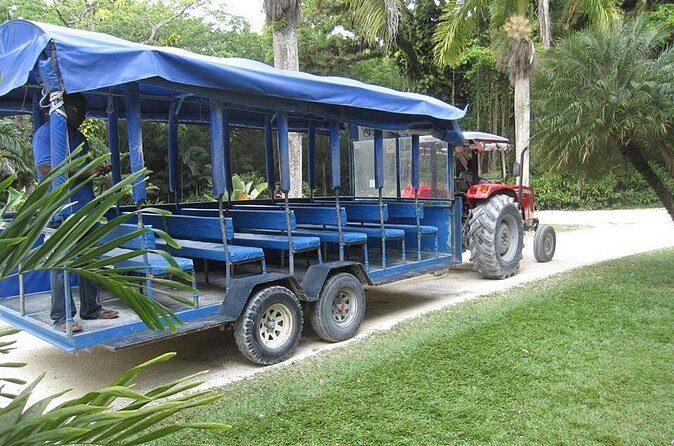 YS Falls and The Pelican Bar Adventure Tour from Negril - What’s included in the price—and what that means for value