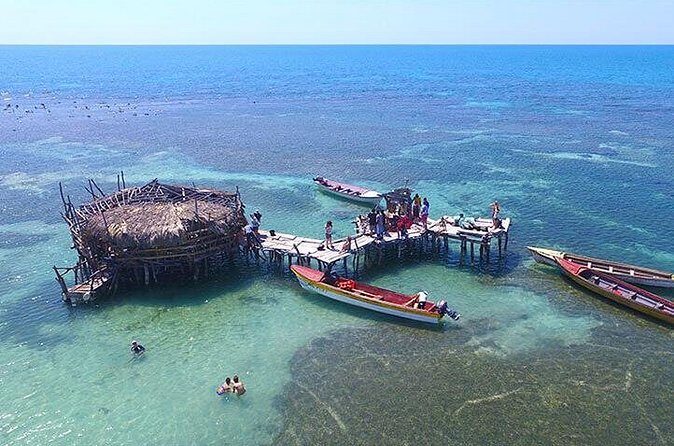 YS Falls and The Pelican Bar Adventure Tour from Negril - Who should book this YS Falls and Pelican Bar tour