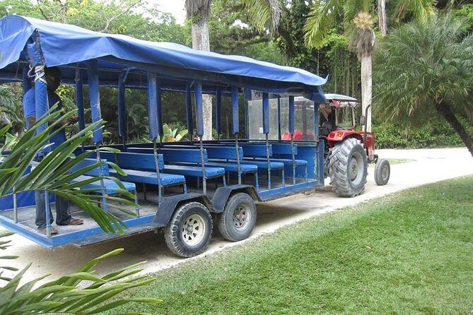 YS Falls and The Pelican Bar Adventure Tour from Negril - Getting picked up and transported in an air-conditioned private vehicle