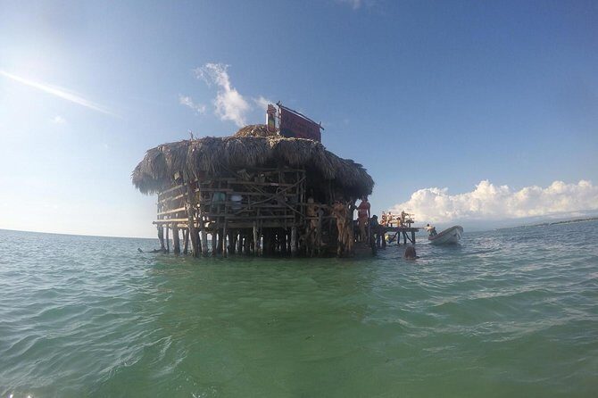 YS Falls, Black River Safari, Floyd’s Pelican Bar - A Negril Day That Mixes Waterfalls, Wildlife, and a Sea Bar
