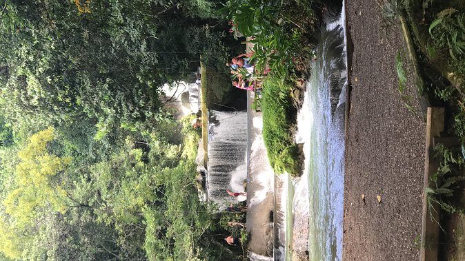 YS Falls Private Full-Day Adventure Tour with Pickup - Private Pickup From Negril and West End: Easy Start, Less Waiting