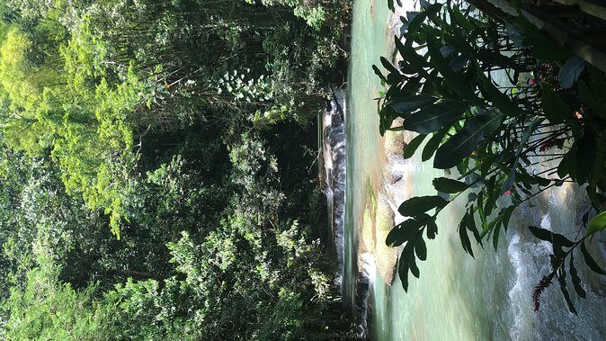 YS Falls Private Full-Day Adventure Tour with Pickup - Canopy Rides and Zipline From the Top to the Base