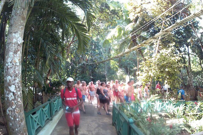 Zip Line over the Dunns River Falls - Key Takeaways Before You Go