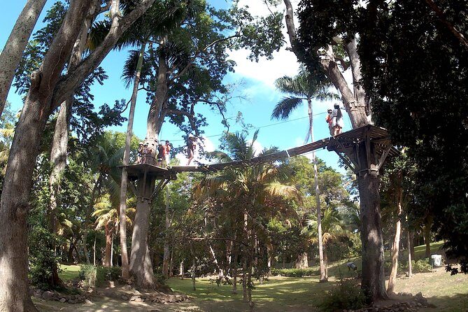Zip Line over the Dunns River Falls - Ziplining Over Dunns River Falls: Why This Trip Feels Like More Than a Zipline