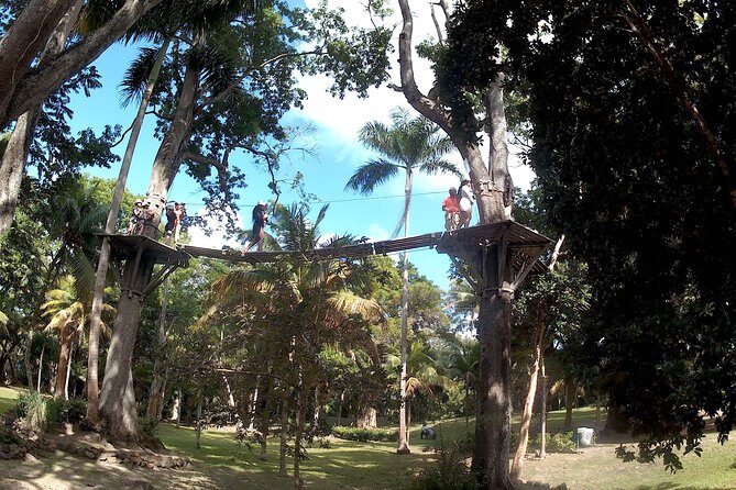 Zip Line over the Dunns River Falls - Safety Gear, Armbands, and the Walk to Your First Line