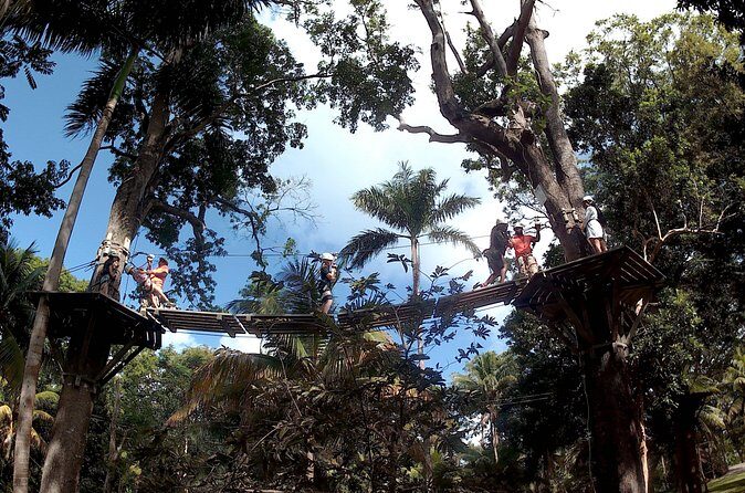 Zip Line over the Dunns River Falls - What It’s Like Riding Over the Falls and Park Views From the Top