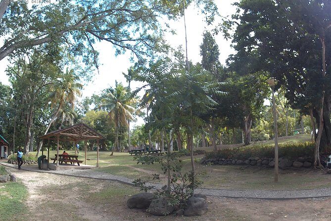 Zip Line over the Dunns River Falls - Time at Dunns River Falls: Terraced Waterfall Exploration With Less Rush