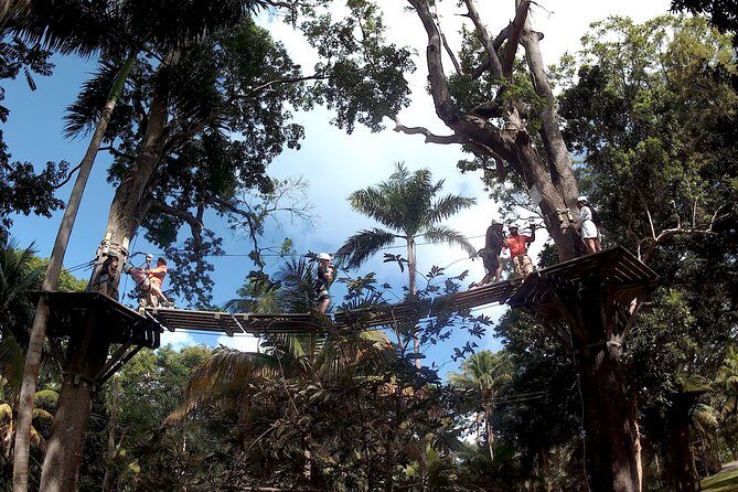 Zip Line over the Dunns River Falls - Price and Value: Is $192.67 Worth It for a Private Tour?