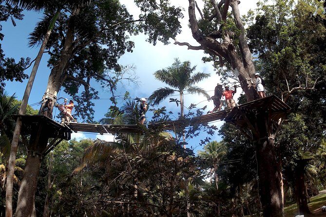Zip Line over the Dunns River Falls - The 9:00 AM Schedule and Private Pickup From Montego Bay