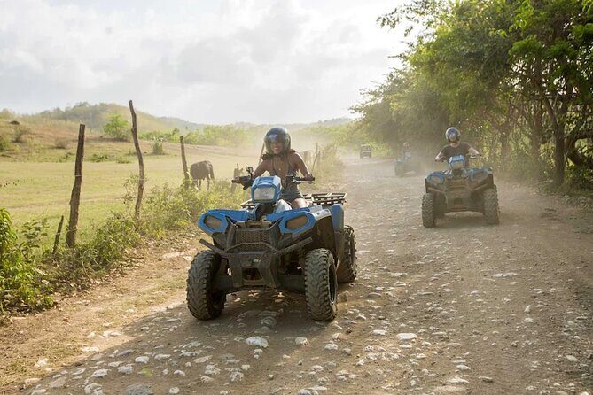Zip-lining/Horseback Rides/Cat & Atv Inclusive Act with Transpo From Montego Bay - Getting From Montego Bay: Pickup That Actually Helps