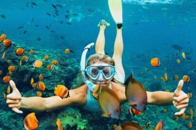 Zip-lining/Horseback Rides/Cat & Atv Inclusive Act with Transpo From Montego Bay - Horseback Riding Through Backcountry and Out Into the Sea