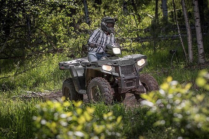Zip-lining/Horseback Rides/Cat & Atv Inclusive Act with Transpo From Montego Bay - ATV Safari: License Required and the Fun Depends on How You Manage It