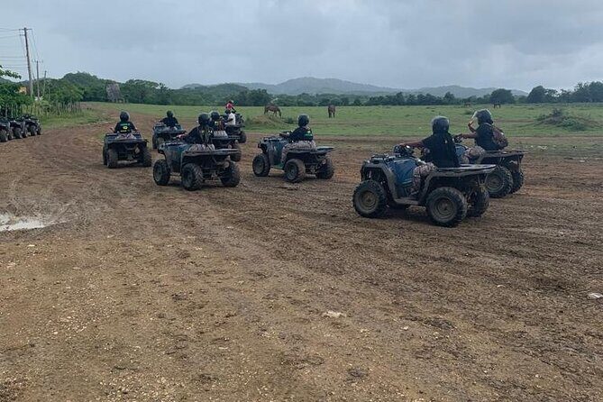 Zipline, Horseback Ride, ATV and Catamaran from Montego Bay - Ziplining Through Jamaica: First-Timer Friendly, With Real Guide Energy