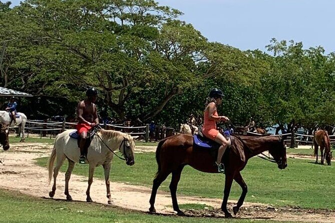 Zipline, Horseback Ride, ATV and Catamaran from Montego Bay - ATV Quad Bike Adventure: License Rules and the Countryside Payoff